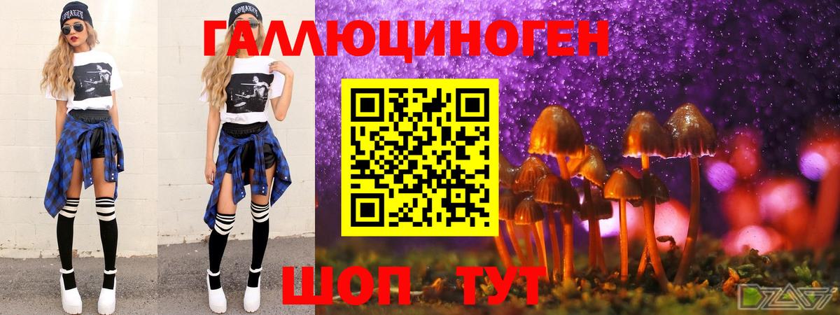Славгород  Псилоцибиновые грибы ЛСД  Вход с VPN  Галлюциногенные грибы MAGIC MUSHROOMS 